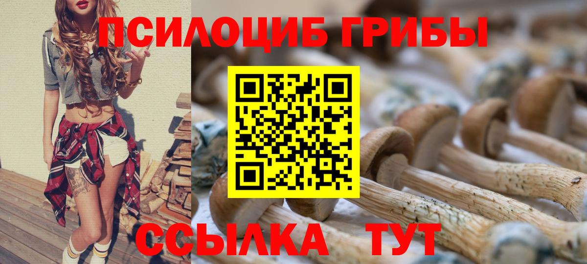 Псилоцибиновые грибы Cubensis Кохма