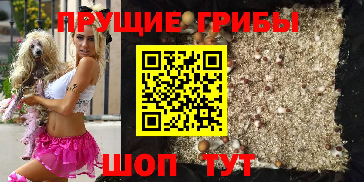 Кохма  Псилоцибиновые грибы ЛСД  Галлюциногенные грибы Psilocybe  Вход с VPN 